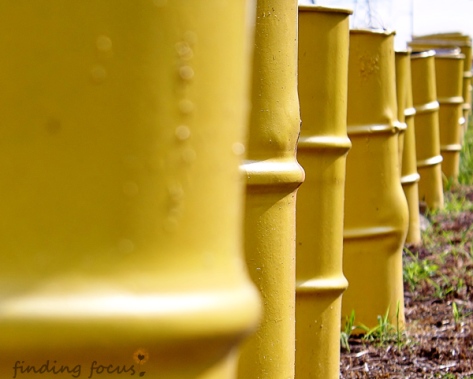 row of standing yellow barrels