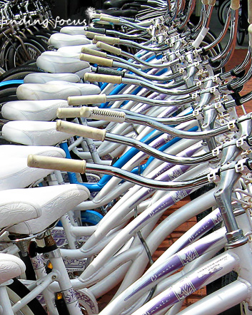 bicycles for rent row of bikes at Rosemary Beach